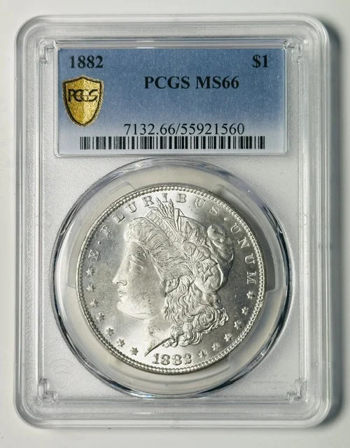 1882 P Morgan Silver Dollar PCGS MS-66 White!